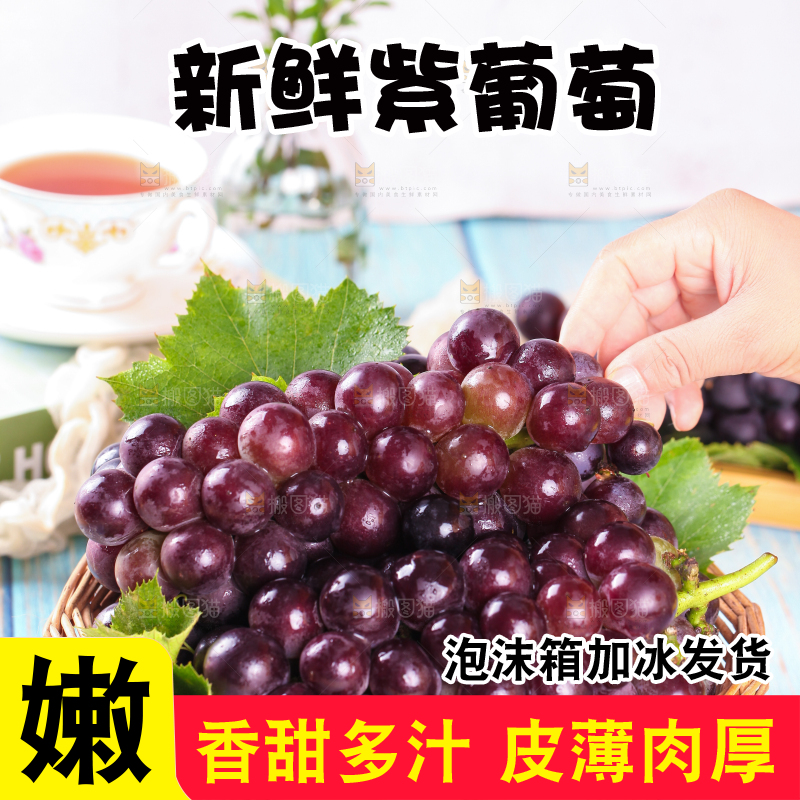 手拿东北巨峰葡萄