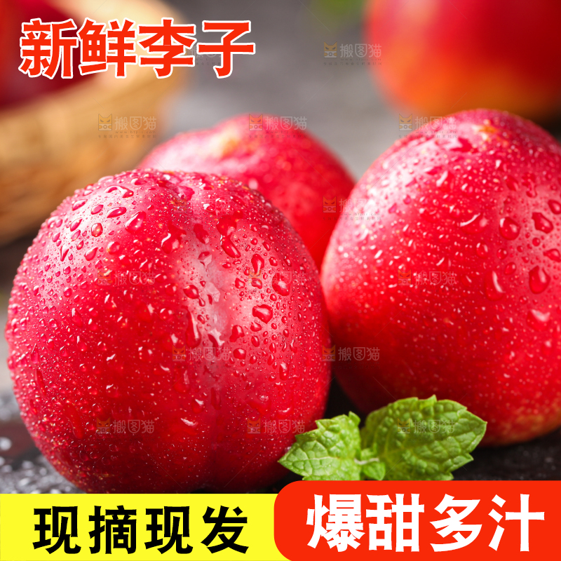 黑石板上的珍珠李