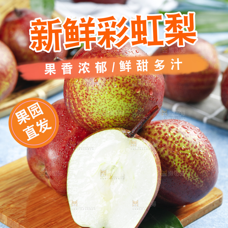 浅底上的彩虹梨