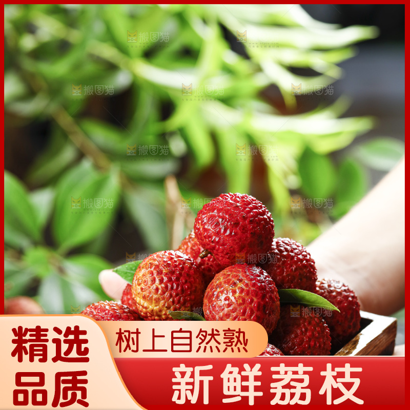 手端一盘荔枝