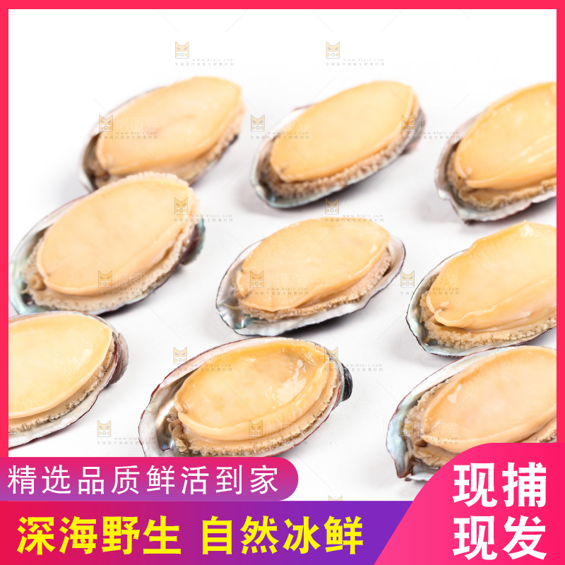 白底上放着新鲜剥开的活动大鲍鱼