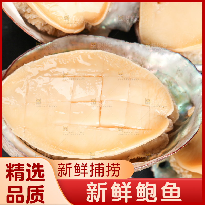 白底上放着新鲜剥开的鲜鲍鱼