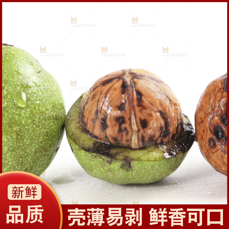 白底上的新鲜湿核桃
