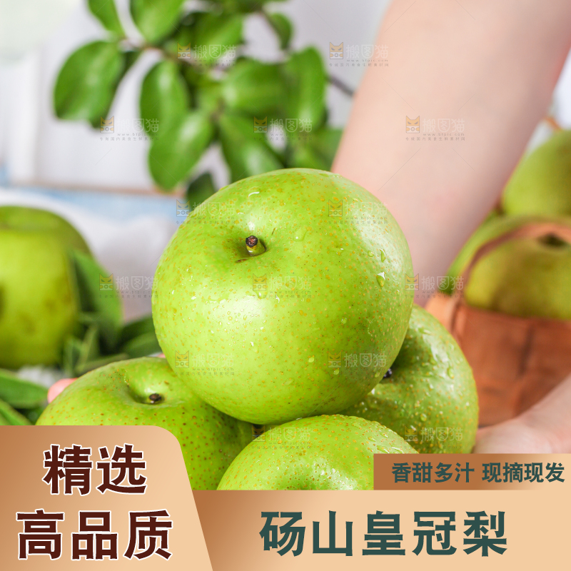 手拿翠冠梨