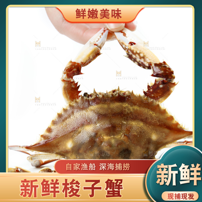 手拿梭子蟹