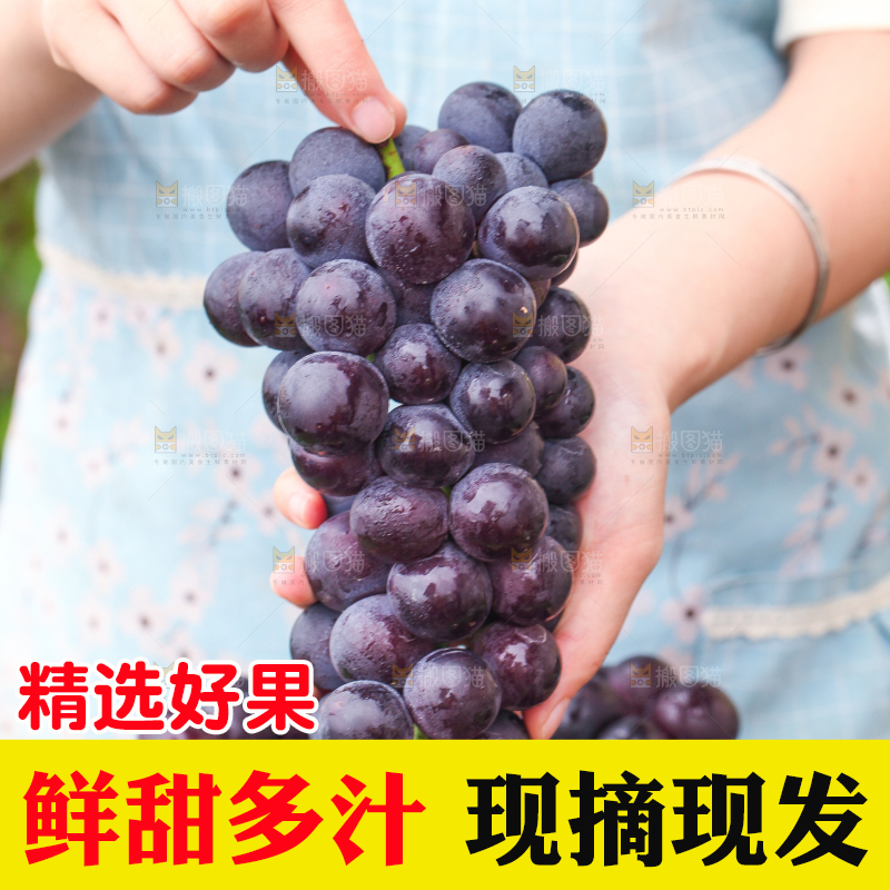 手拿一串新鲜葡萄