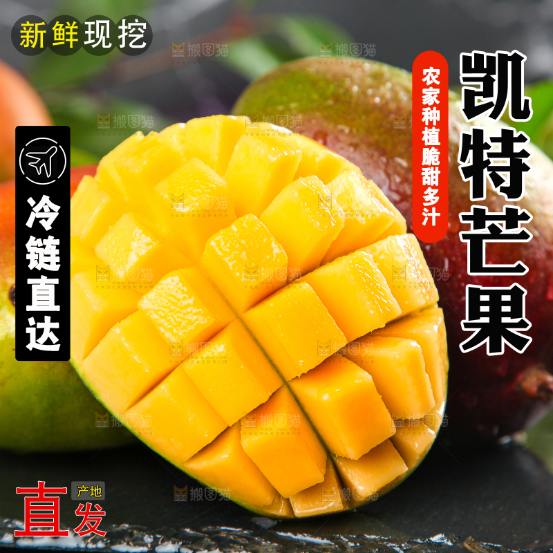 凯特芒主图