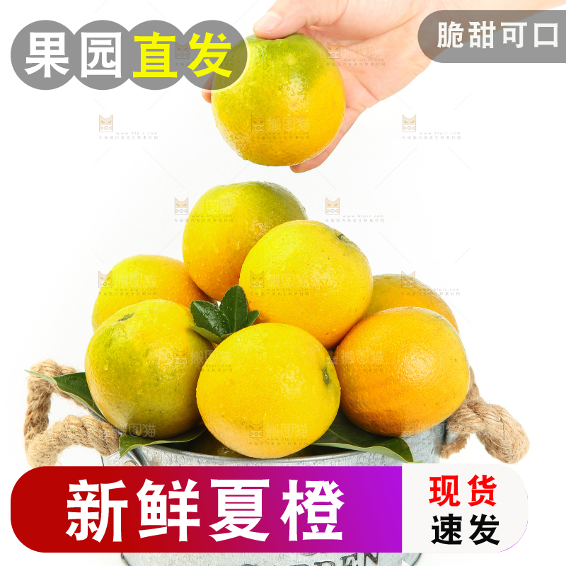 手拿一个夏橙