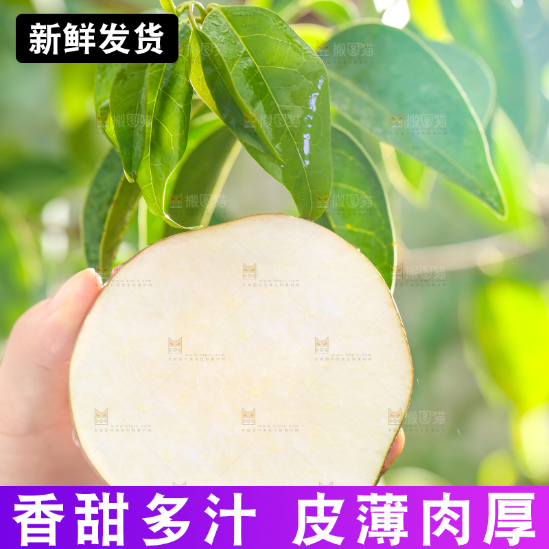 手拿切开的早酥红梨子