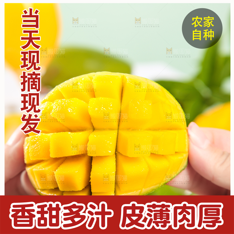 手拿切开的桂七芒