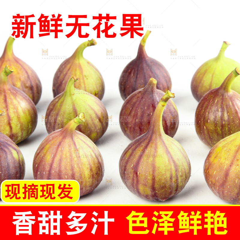 白底上的无花果