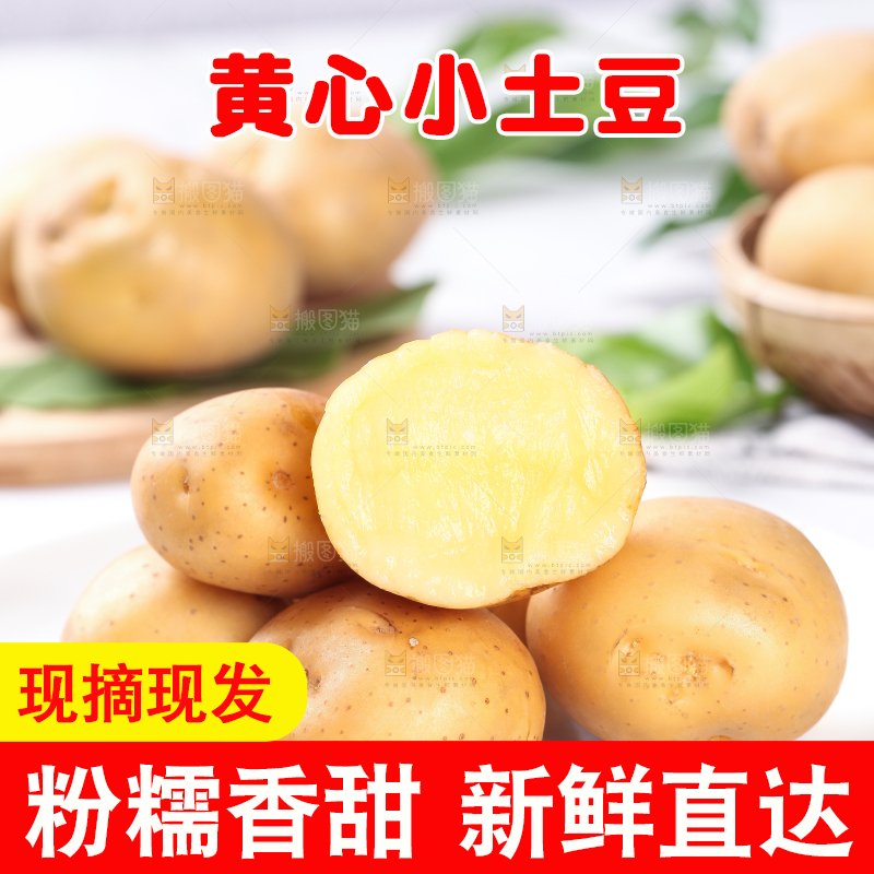 石盘里的云南小土豆