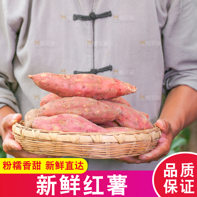 农民手里端着一盘红心红薯