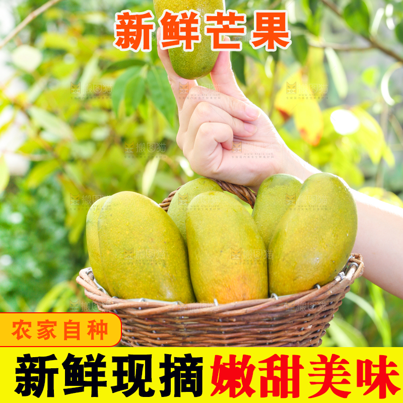 手拿一筐海南鸡蛋芒