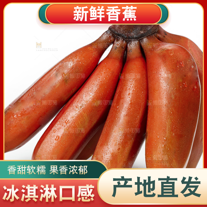 白底上的红皮美人蕉