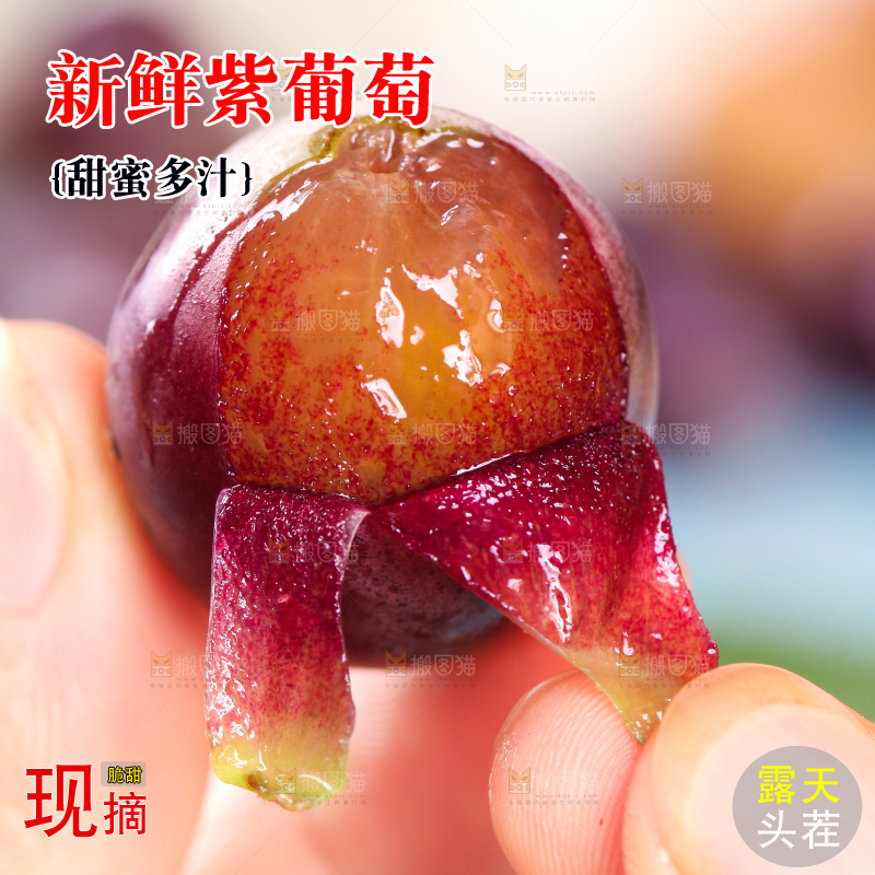 手拿剥皮的东北巨峰葡萄