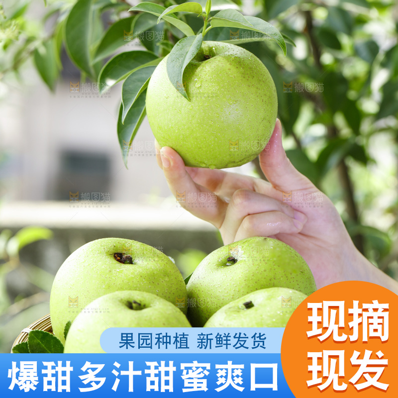 手拿一盘青皮翠冠梨
