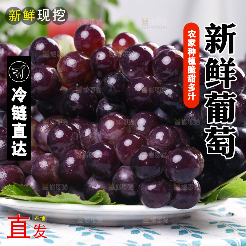 浅底上放着一盘巨峰葡萄