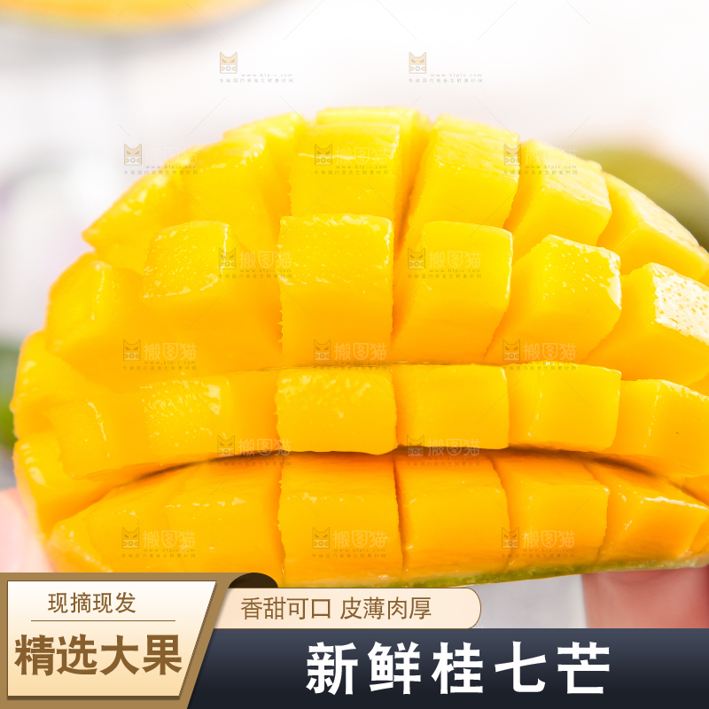 手拿切开的桂七芒