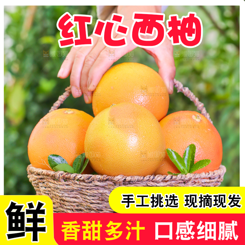 草地上手拿红心西柚