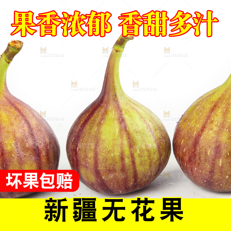 白底上的紫皮无花果