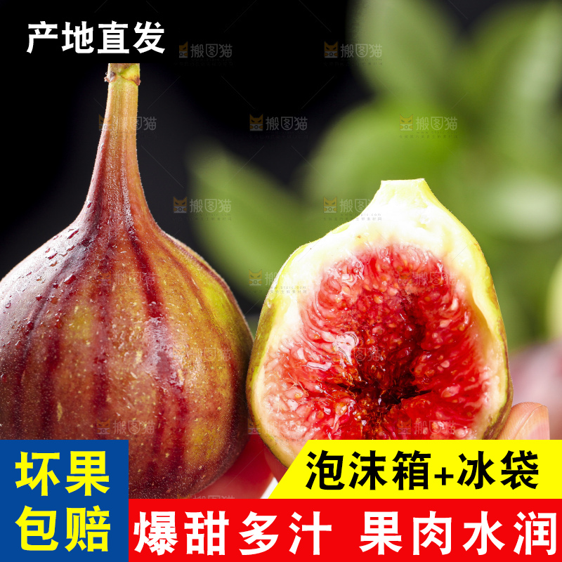 手拿紫皮无花果