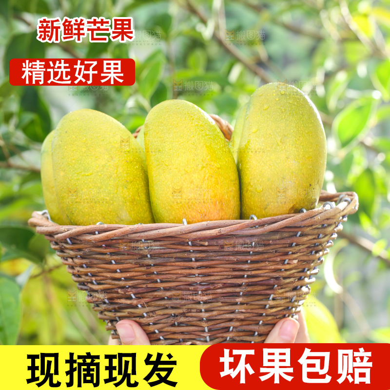 手拿一筐海南鸡蛋芒