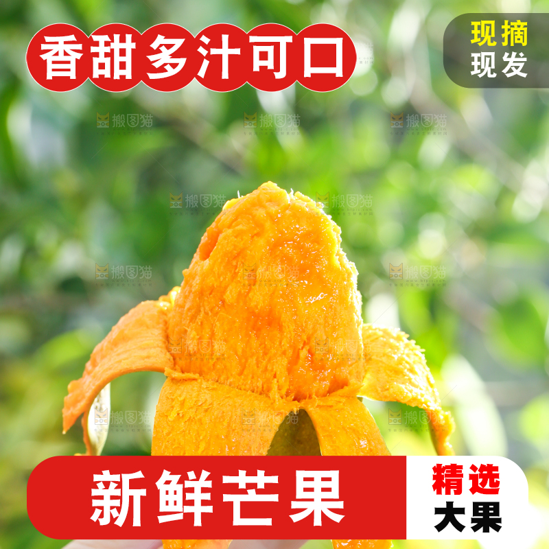 手拿切开的椰香芒果