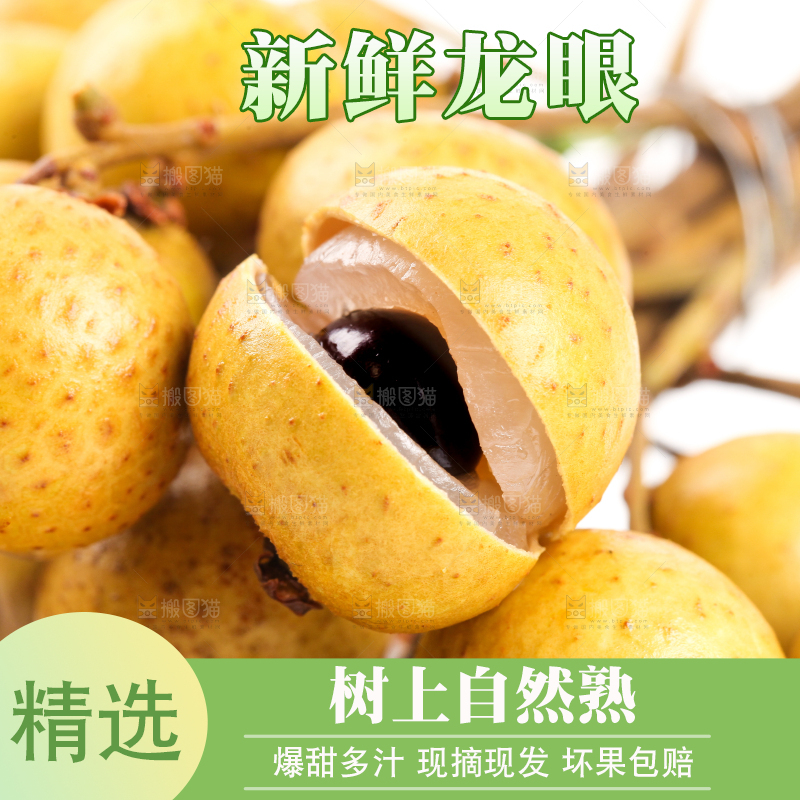 白底上的新鲜龙眼