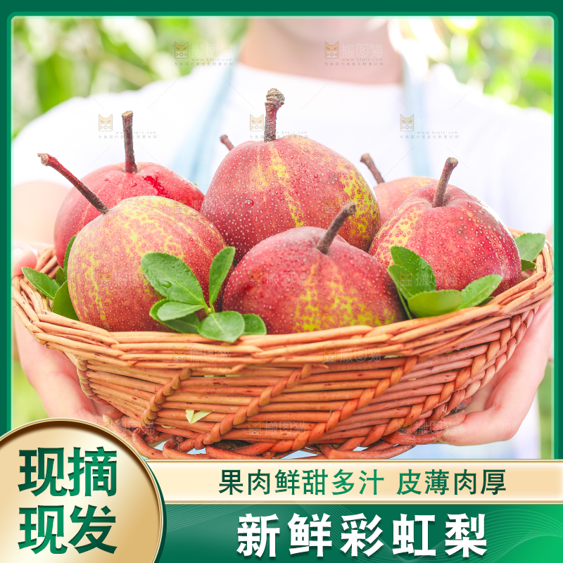 手端一筐陕西彩虹梨