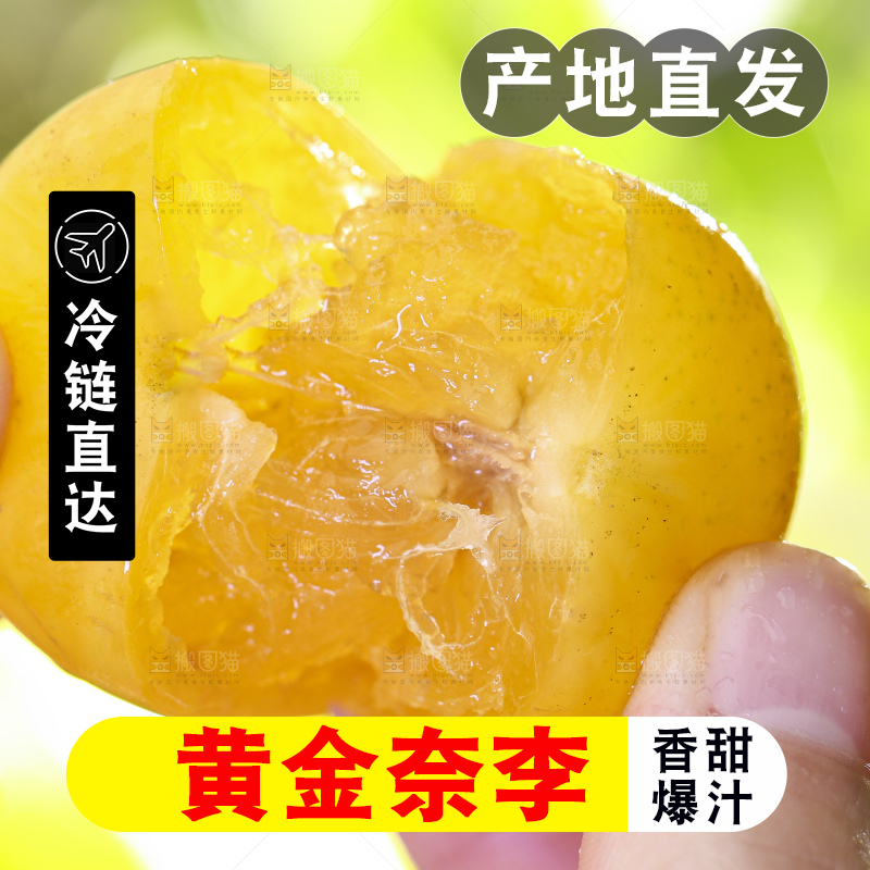 手拿掰开的黄金奈李