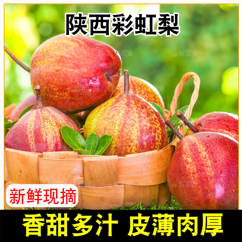 草地上放着一筐早酥红梨子