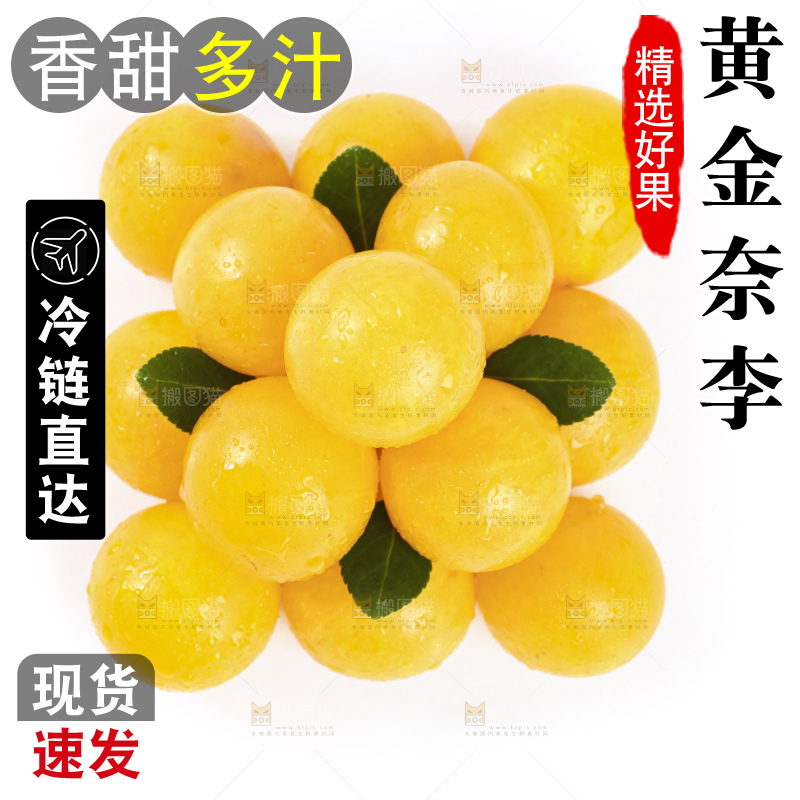 白底上的九峰山黄金奈李