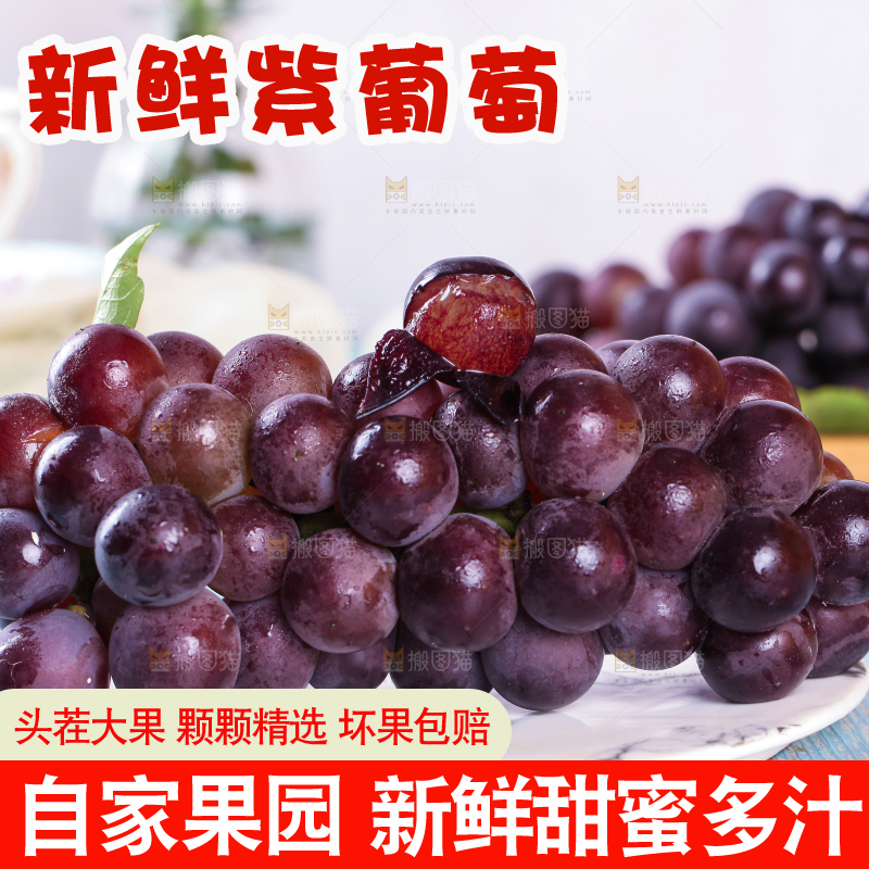 蓝底上放着一盘东北巨峰葡萄
