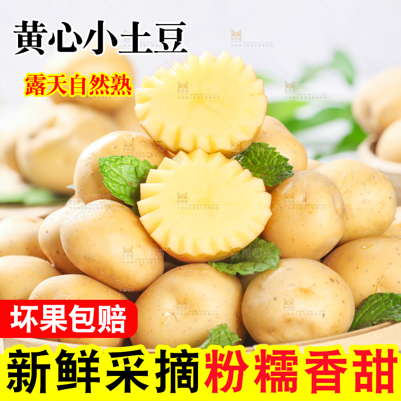 白底上放着切开的富硒小土豆