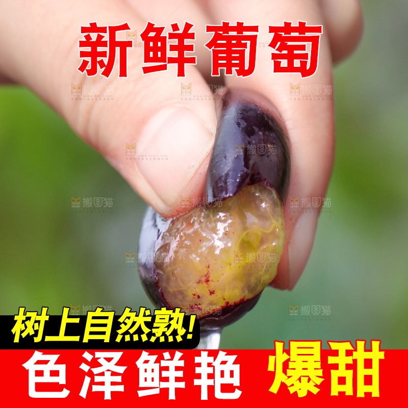 手拿巨峰葡萄
