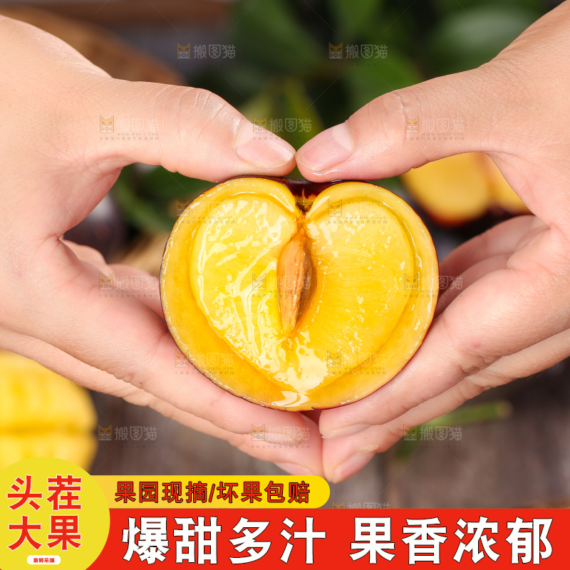 手拿切开的智利黄肉黑布李
