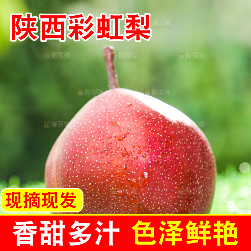 草地上放着早酥红梨子