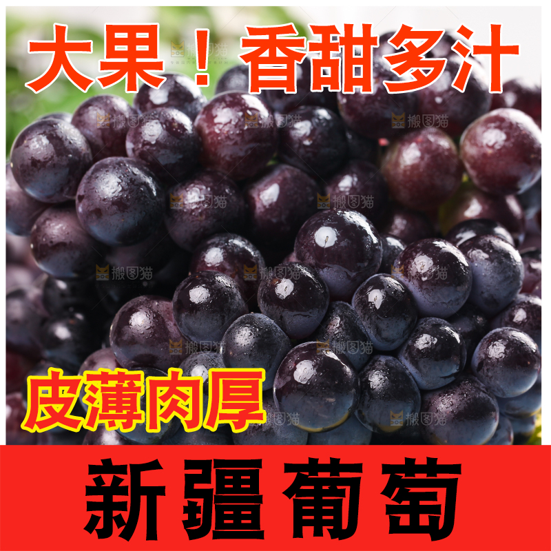 浅底上的巨峰葡萄