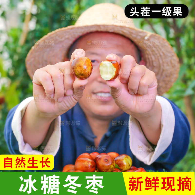 农民手里拿着冬枣