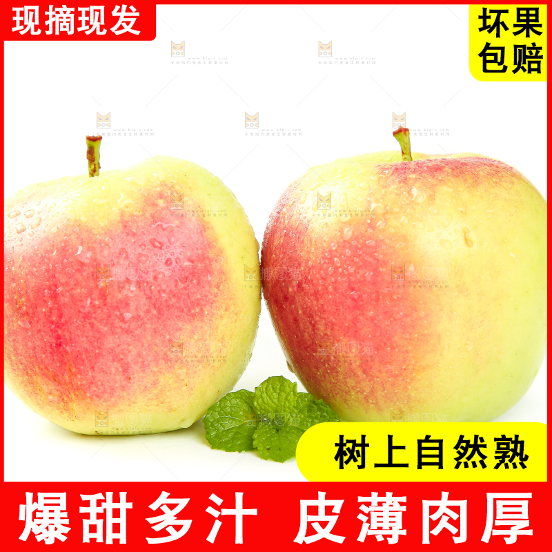 白底上的河北美八苹果