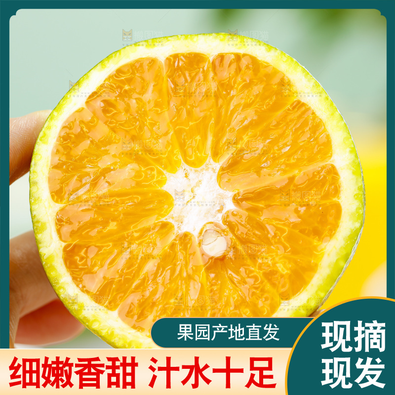 手拿切开的秭归夏橙