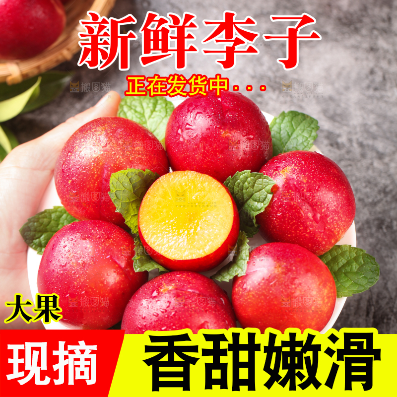 手端一盘珍珠李