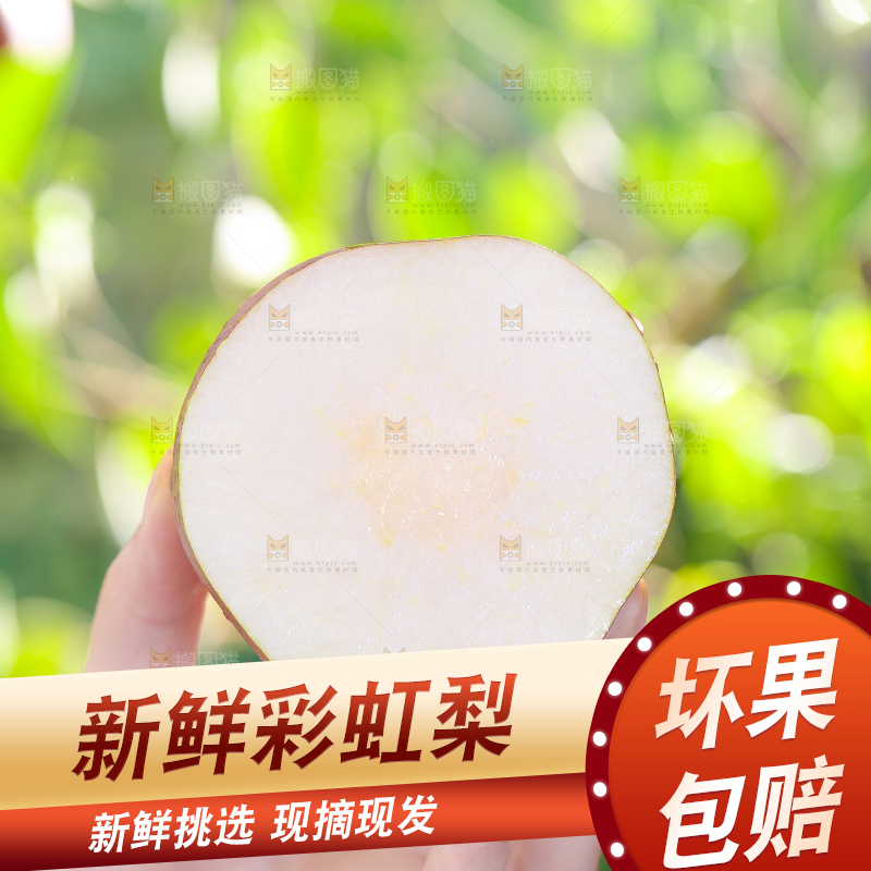 手拿切开的早酥红梨子