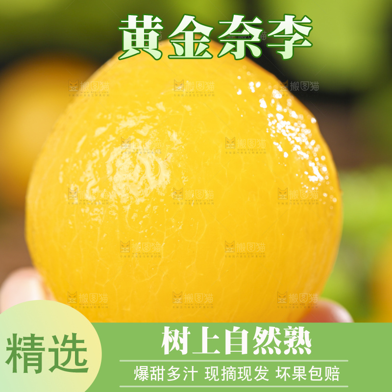 手拿剥皮的黄金奈李