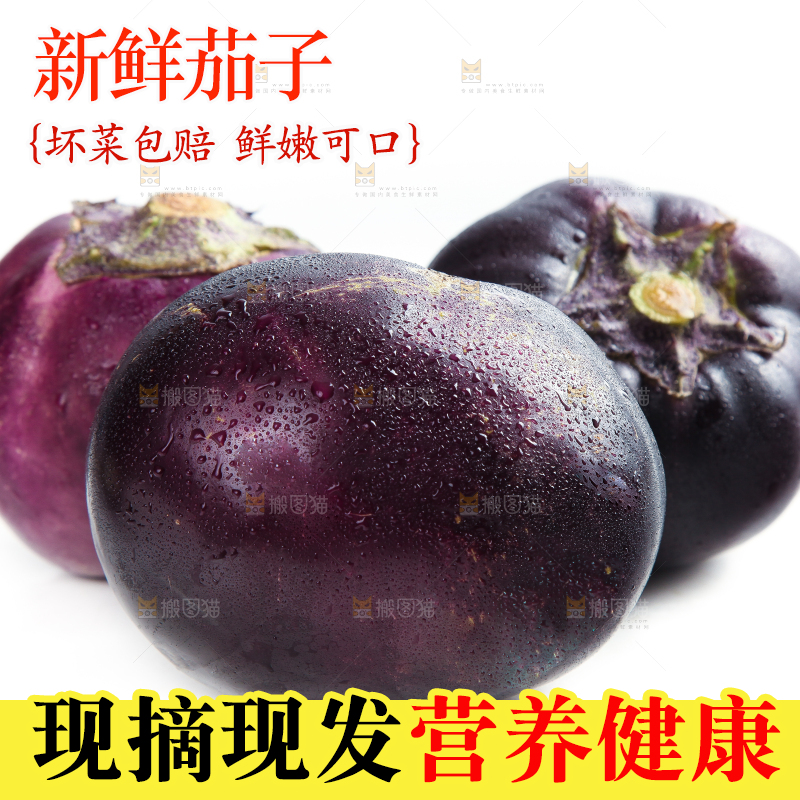 白底上的紫皮圆茄子