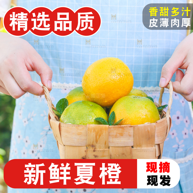 手拿一筐夏橙