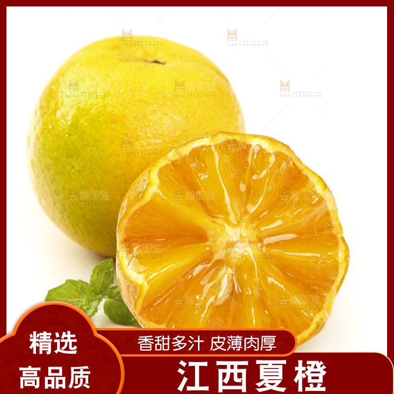 切开的夏橙放在白底上