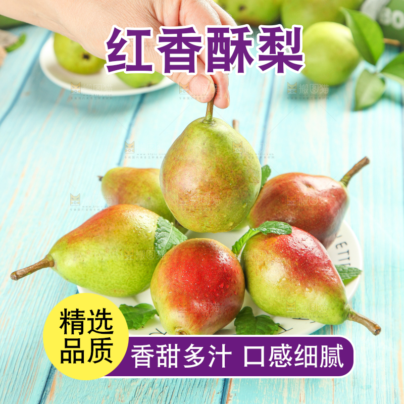 手拿红香酥梨