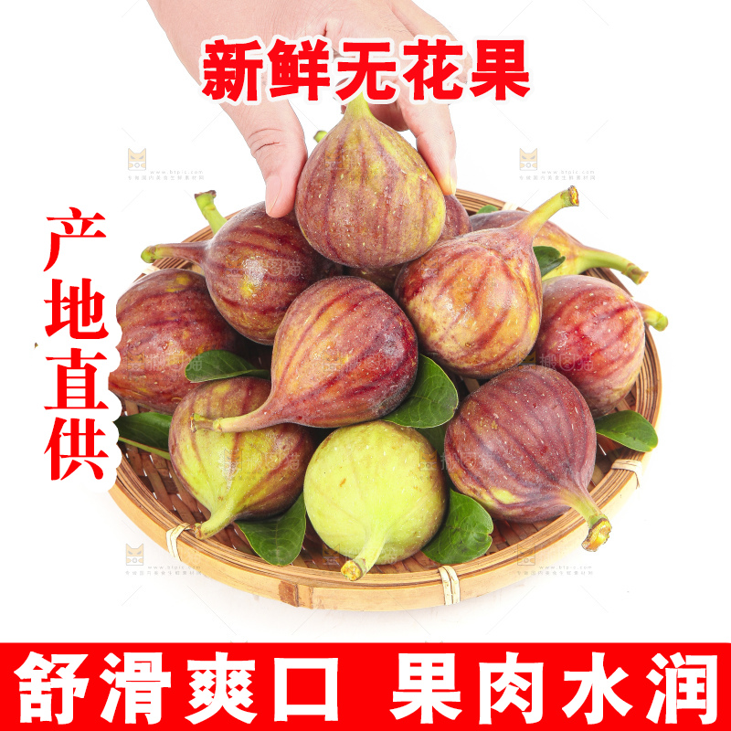 手拿紫皮无花果